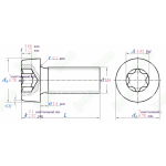 DIN 7984 TX Z ŁBEM WALCOWYM OBNIŻONYM TORX TYTANOWA GRADE 2